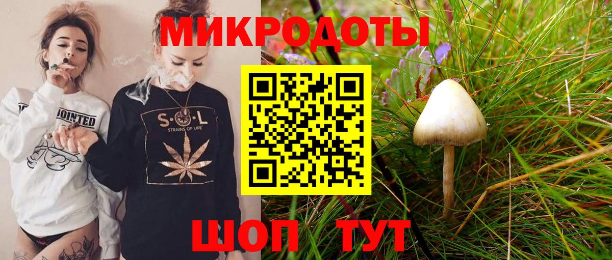 Галлюциногенные грибы ЛСД Солнечногорск
