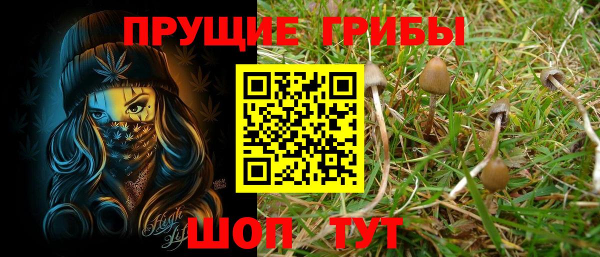 Солнечногорск  Галлюциногенные грибы Magic Shrooms  Вход с VPN 